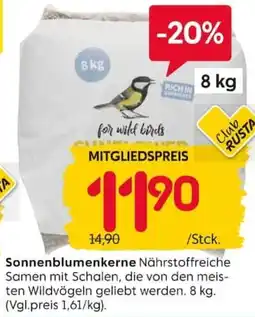 Rusta Sonnenblumenkerne Angebot