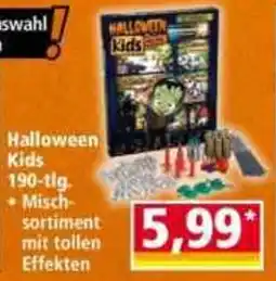 Norma Halloween Kids Angebot