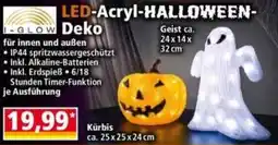 Norma LED-Acryl-HALLOWEEN-Deko Angebot