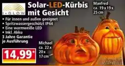 Norma Solar-LED-Kürbis mit Gesicht Angebot