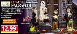 Norma LED-Erdmännchen HALLOWEEN Angebot