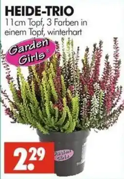Wreesmann HEIDE-TRIO Garden Girls Angebot