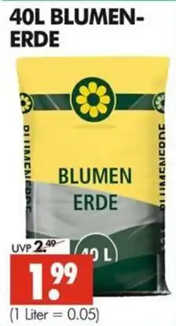 Wreesmann BLUMEN-ERDE Angebot