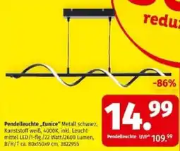 Segmüller Pendelleuchte "Eunice" Angebot