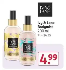 Rossmann Ivy & Lane Bodymist Angebot