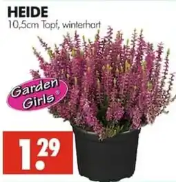 Wreesmann HEIDE Angebot