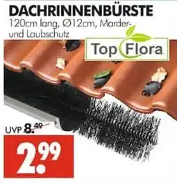 Wreesmann Dachrinnenbürste Angebot
