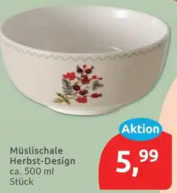 Budni Müslishale Herbst-Design Angebot