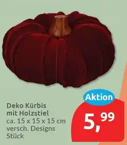 Budni Deko Kürbis mit Holzstiel Angebot