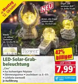 Norma LED-Solar-Grab-beleuchtung "Cleo" I-GLOW by flower power Angebot