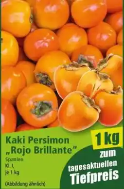Norma Kaki Persimon „Rojo Brillante“ Angebot