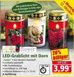 Norma I-GLOW by flower LED-Grablicht mit Dorn Angebot