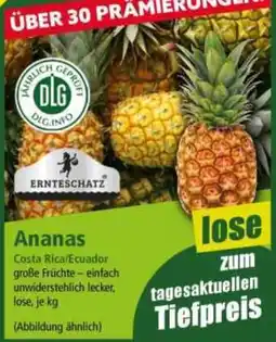 Norma Ananas Angebot