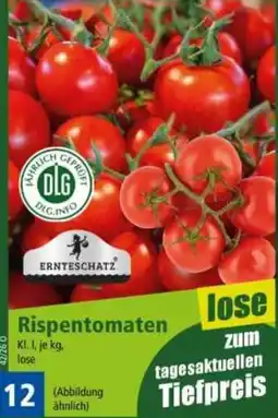 Norma Rispentomaten ERNTESCHATZ Angebot