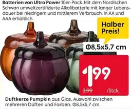 Rusta Duftkerze Pumpkin aus Glas Angebot