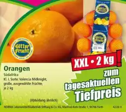 Norma Götter Frucht Orangen Angebot