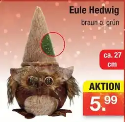 Zimmermann Eule Hedwig Angebot