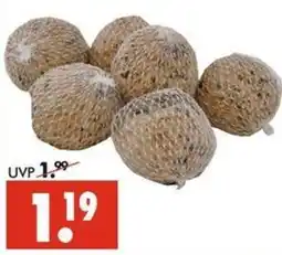 Wreesmann Süßkirschen Angebot