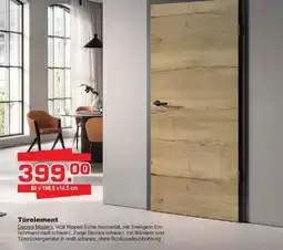 Baustoff-Zentrum Türelement Angebot
