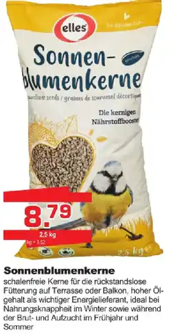Baustoff-Zentrum elles Sonnenblumenkerne Angebot