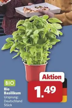 Combi Bio Basilikum Angebot