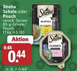 Combi Sheba Angebot