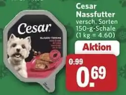 Combi Cesar Nassfutter Angebot