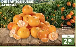 Famila Nord Ost Südafrika Mandarinen Nadorcott Angebot