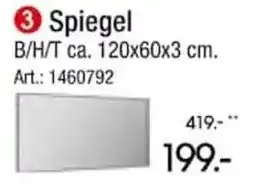 Zurbrüggen Spiegel Angebot