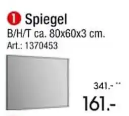 Zurbrüggen Spiegel Angebot
