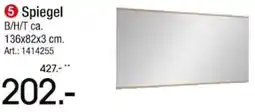 Zurbrüggen Spiegel Angebot