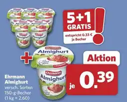Combi Ehrmann Almighurt Angebot