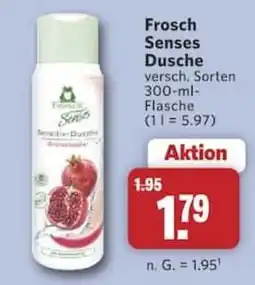 Combi Frosch Senses Dusche Angebot