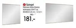 Zurbrüggen Spiegel Angebot