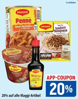 Famila Nord Ost Maggi Artikel Angebot