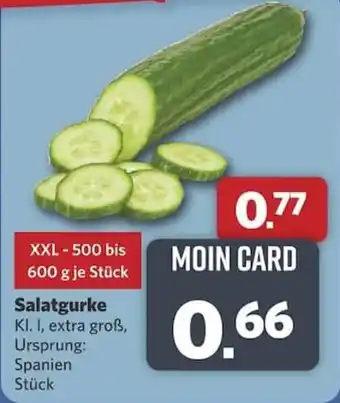 Combi Salatgurke Angebot