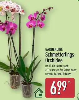 Aldi Nord GARDENLINE Schmetterlings-Orchidee Angebot