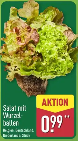Aldi Nord Salat mit Wurzelballen Angebot
