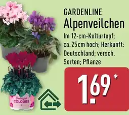 Aldi Nord GARDENLINE Alpenveilchen Angebot