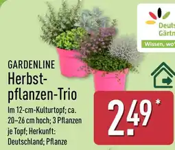 Aldi Nord GARDENLINE Herbst-pflanzen-Trio Angebot