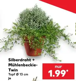 Kaufland Silberdraht + Mühlenbeckie-Twin Angebot