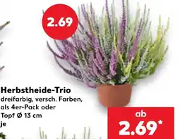 Kaufland Herbstheide-Trio Angebot