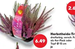 Kaufland Calluna Herbsttheide-Tri Angebot