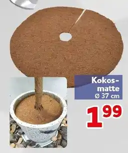 CENTERSHOP Kokos-matte Angebot