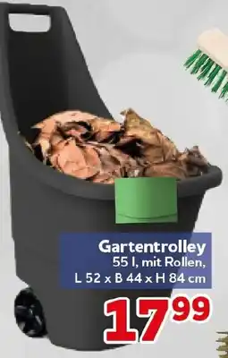 CENTERSHOP Gartentrolley Angebot
