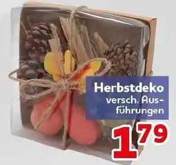 CENTERSHOP Herbstdeko Angebot