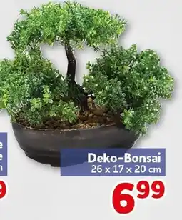 CENTERSHOP Deko-Bonsai Angebot
