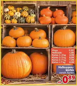 CENTERSHOP Halloween-kürbis Angebot