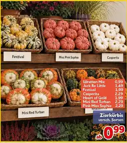 CENTERSHOP Zierkürbis Angebot