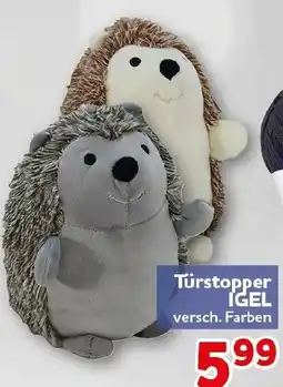 CENTERSHOP Türstopper Igel Angebot